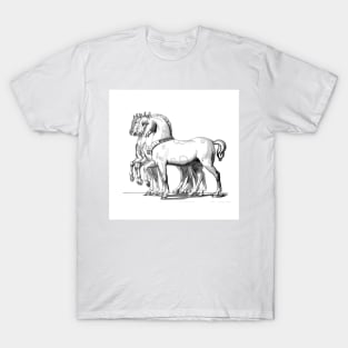 Classic and monumental artistic horses T-Shirt